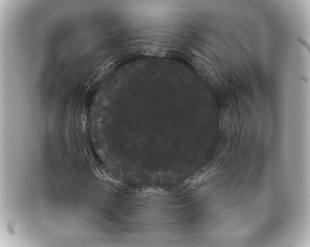 X0000097951154200804211028