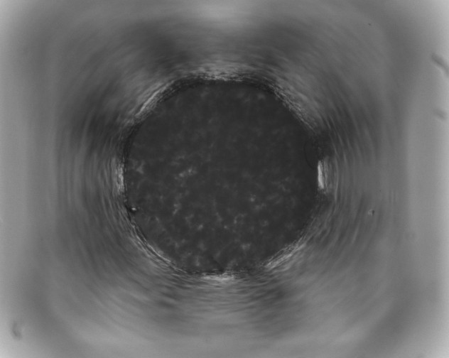 X0000097951155200804211028