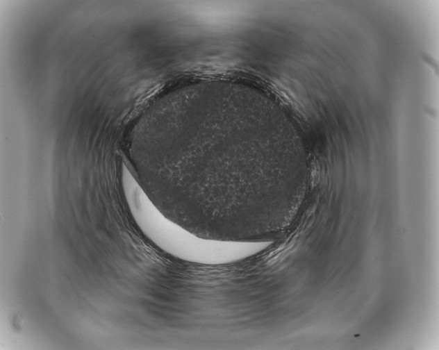 X0000097951156200804211028