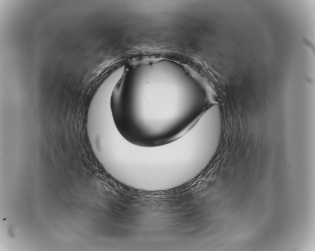 X0000097951157200804211028