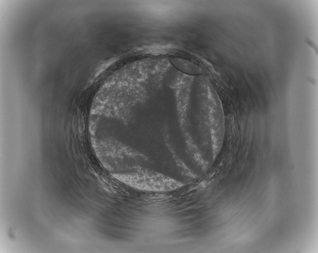 X0000097951158200804211028