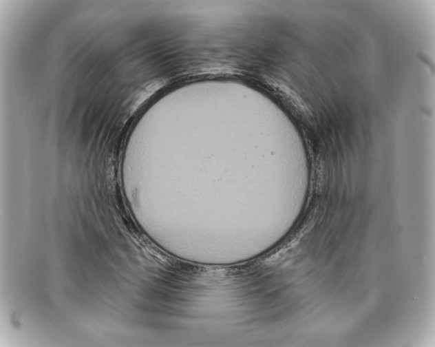 X0000097951162200804211028