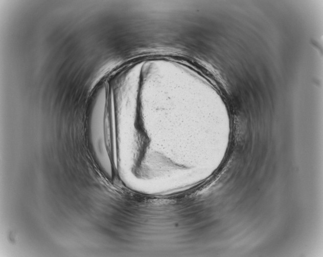 X0000097951163200804211028
