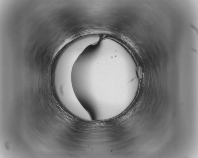 X0000097951165200804211028