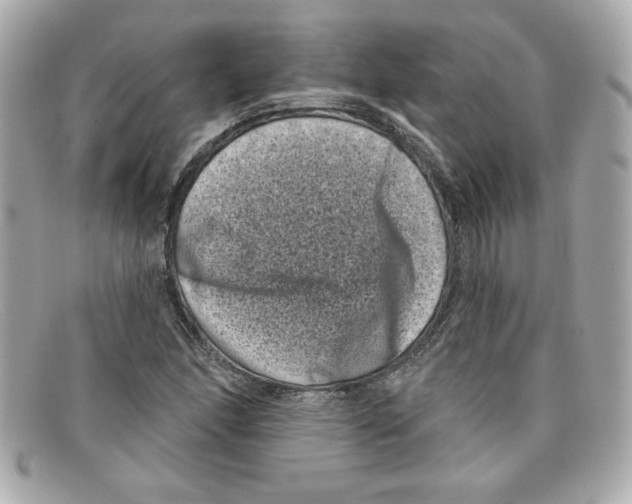 X0000097951166200804211028