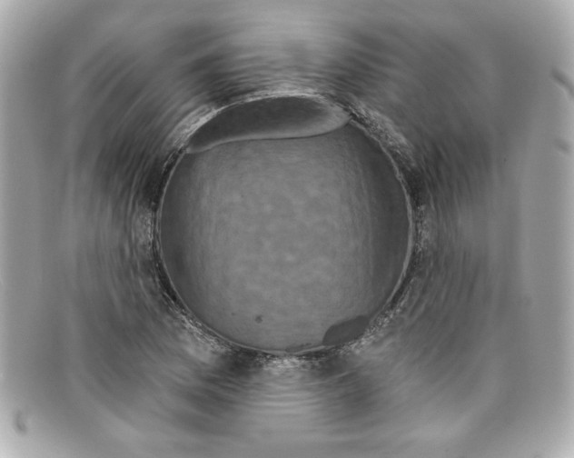 X0000097951169200804211028