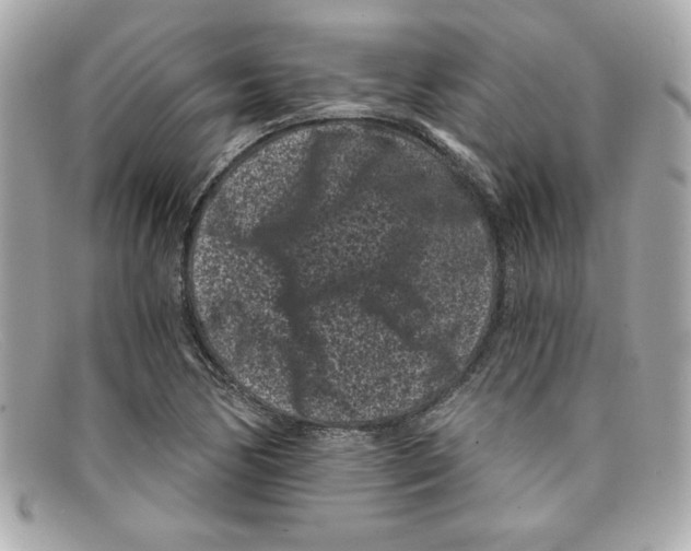 X0000097951170200804211028