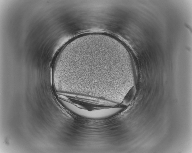 X0000097951171200804211028