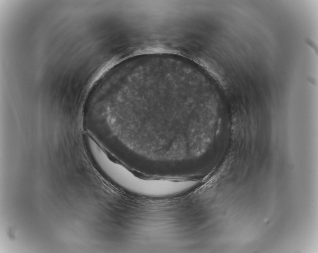 X0000097951173200804211028