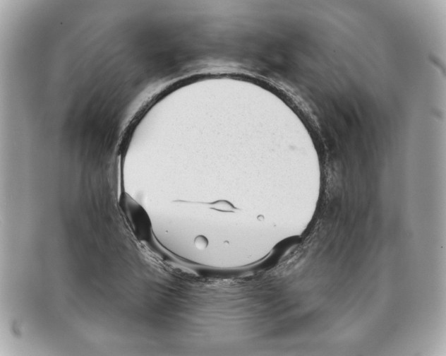 X0000097951175200804211028