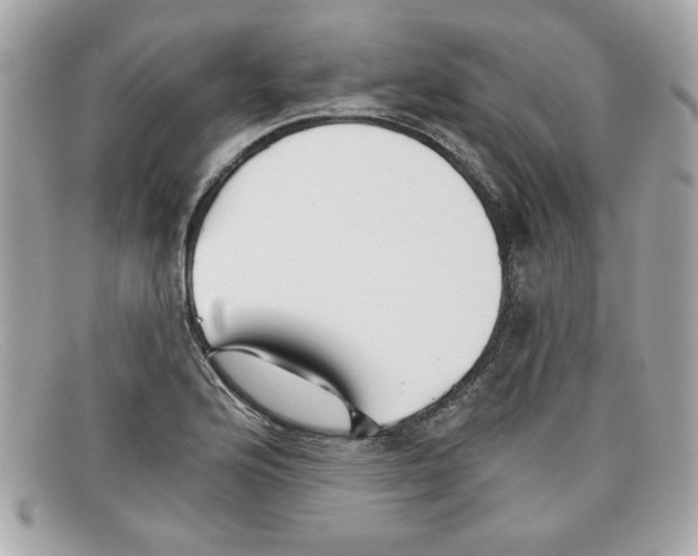X0000097951176200804211028