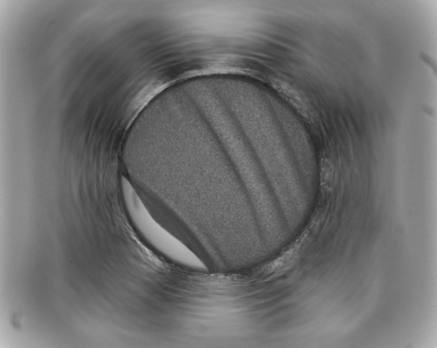 X0000097951177200804211028