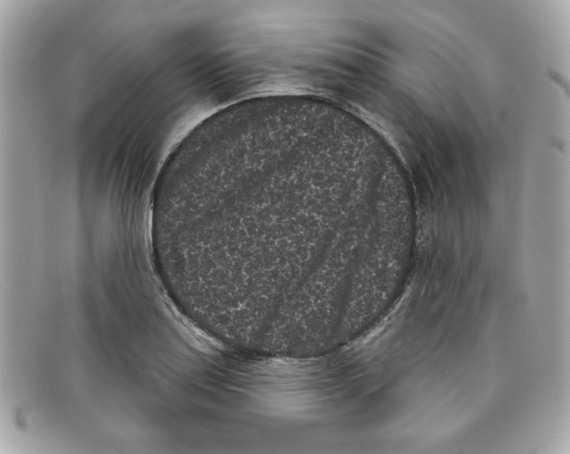 X0000097951179200804211028