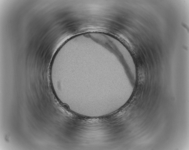 X0000097951182200804211028
