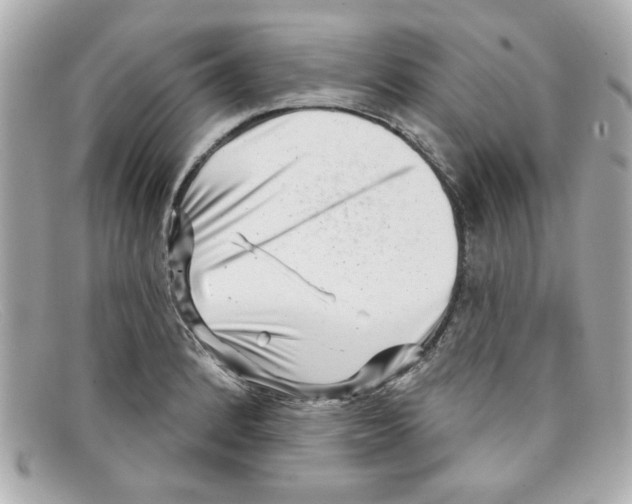 X0000097951184200804211028