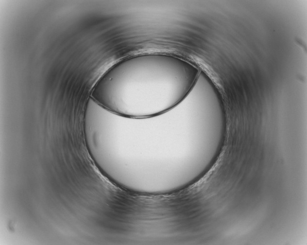 X0000097951185200804211028