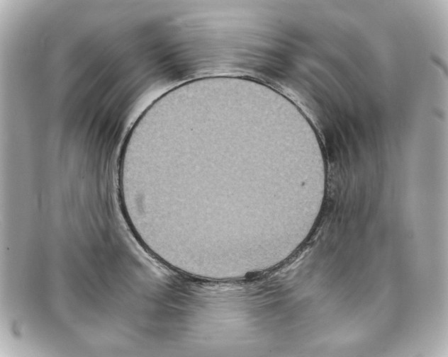 X0000097951187200804211028