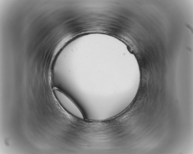 X0000097951188200804211028