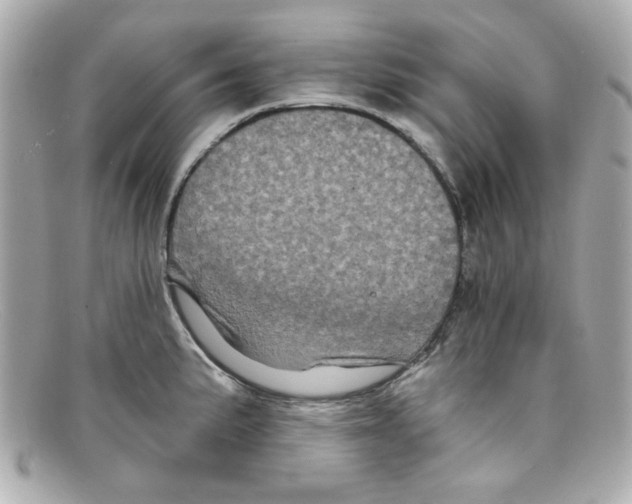 X0000097951191200804211028