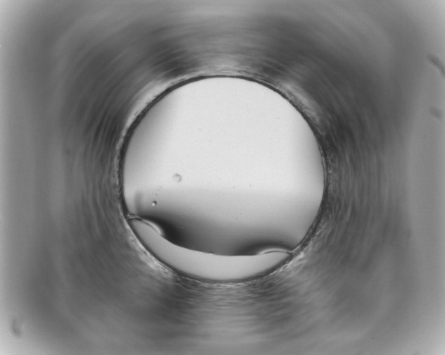 X0000097951192200804211028