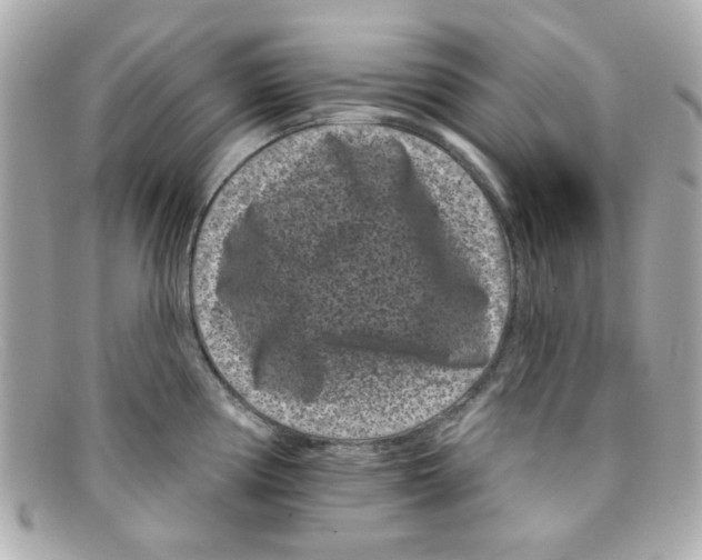 X0000097951194200804211028