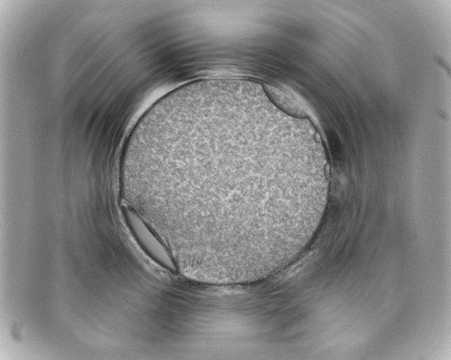 X0000097951195200804211028