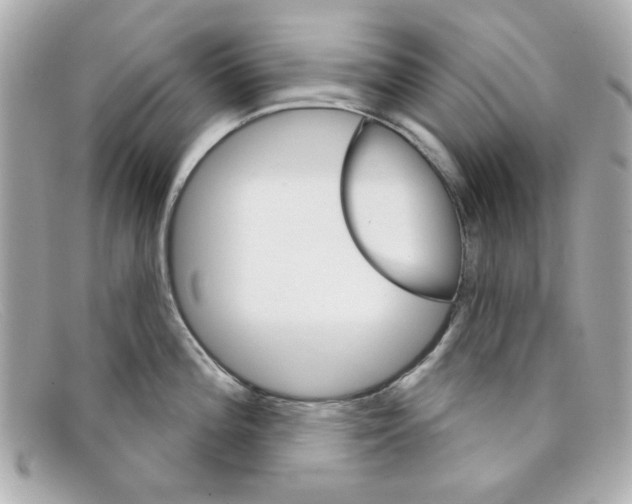X0000097951196200804211028