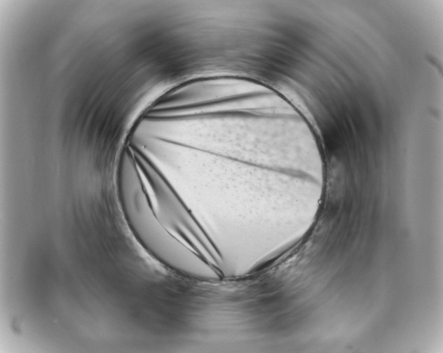 X0000097951197200804211028