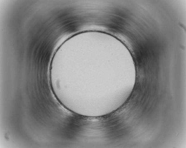 X0000097951199200804211028