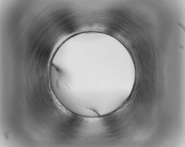 X0000097951200200804211028