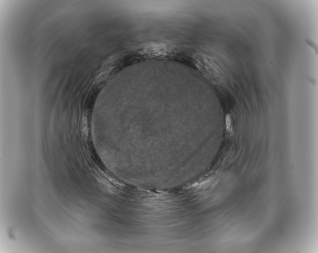 X0000097951203200804211027