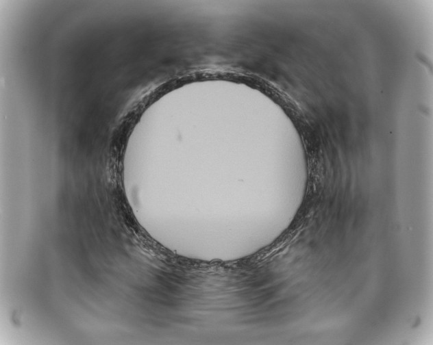 X0000097951207200804211027