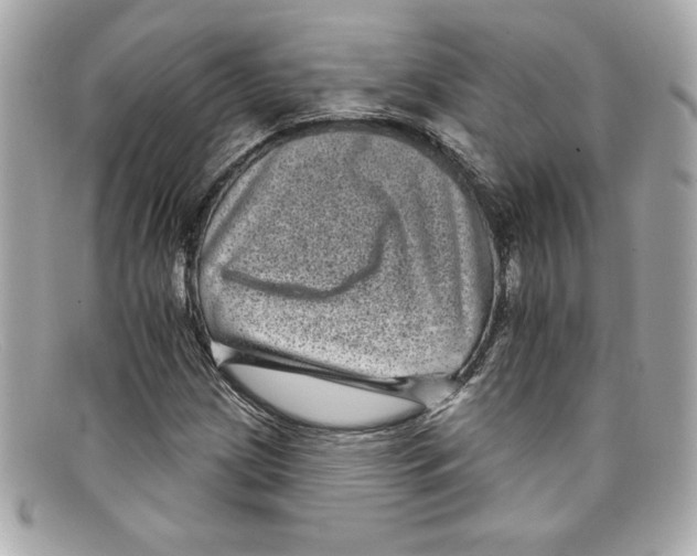 X0000097951209200804211027
