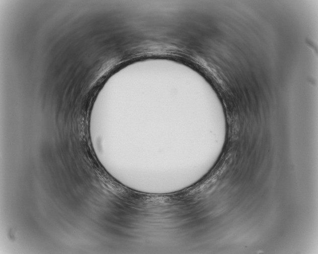 X0000097951211200804211027
