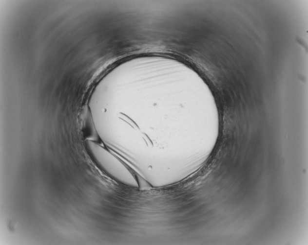X0000097951212200804211027