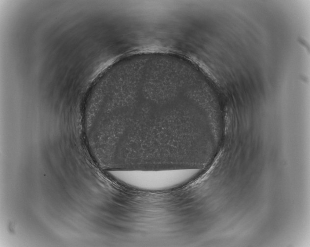X0000097951213200804211027