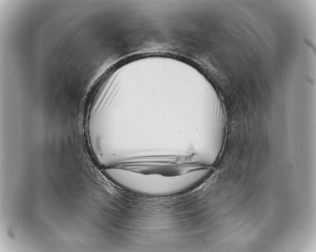 X0000097951216200804211027