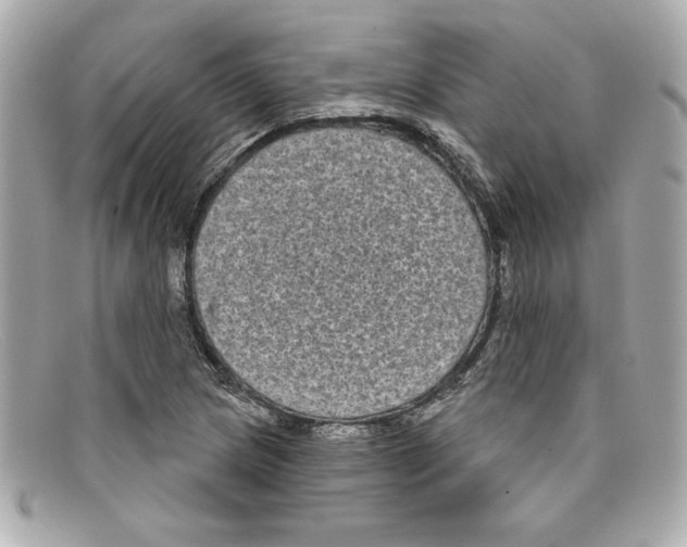 X0000097951217200804211027
