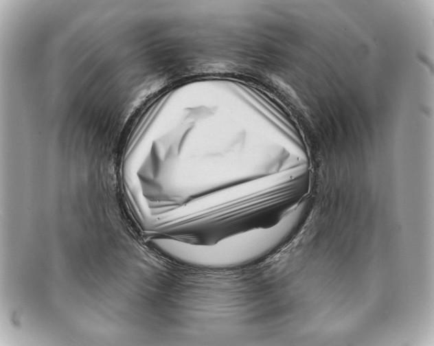 X0000097951218200804211027