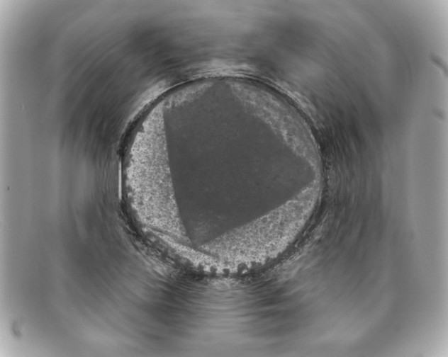 X0000097951219200804211027
