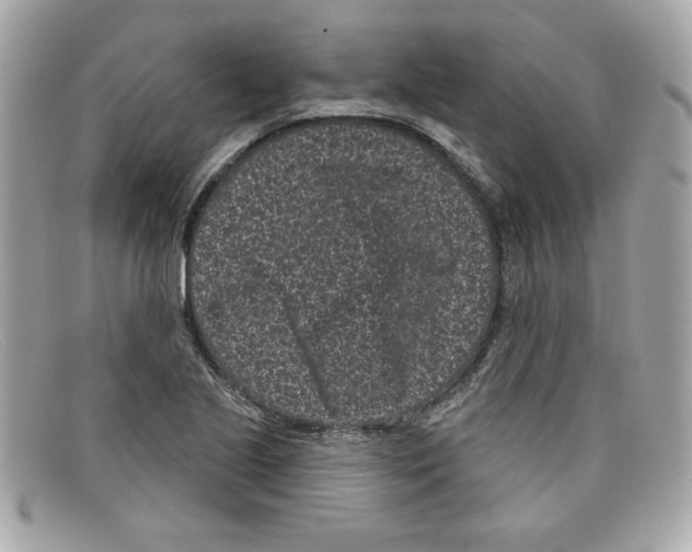 X0000097951221200804211027