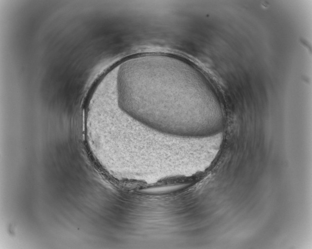 X0000097951223200804211027