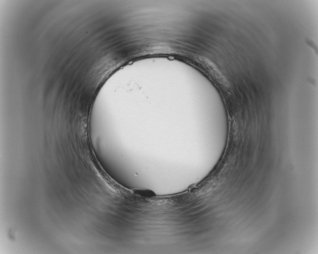 X0000097951225200804211027