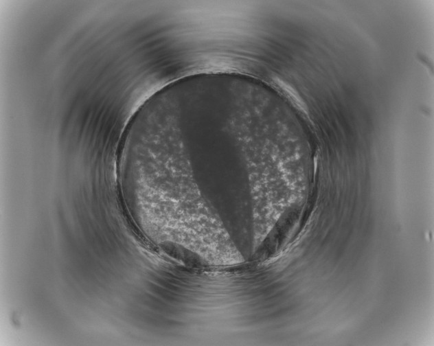 X0000097951226200804211027