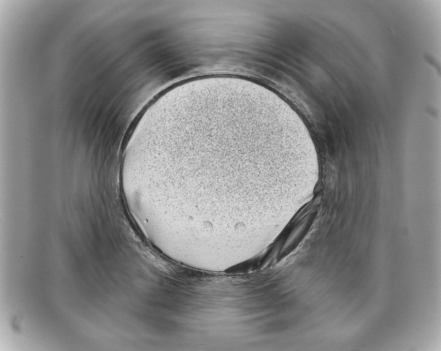 X0000097951228200804211027