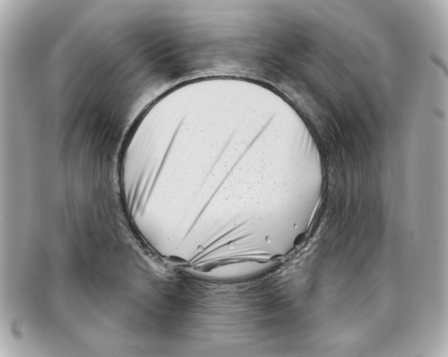 X0000097951230200804211027