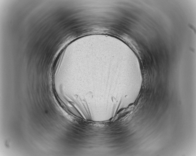 X0000097951235200804211027
