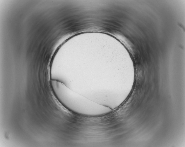 X0000097951238200804211027