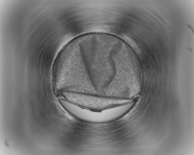 X0000097951240200804211027