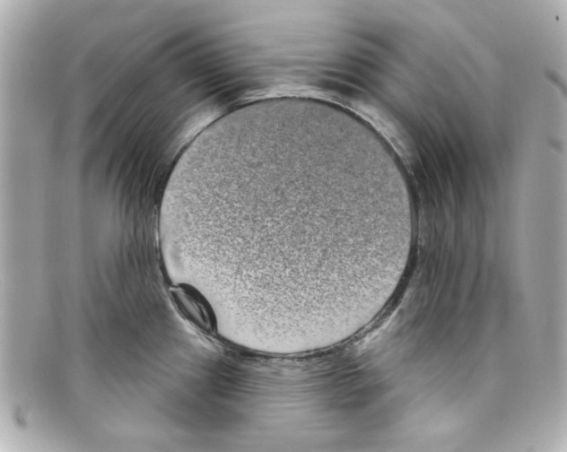 X0000097951241200804211028